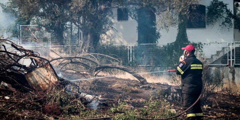 Δασικές πυρκαγιές