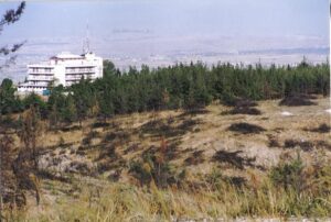 Δασικές πυρκαγιές: Προστασία περουσιών