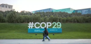 COP29